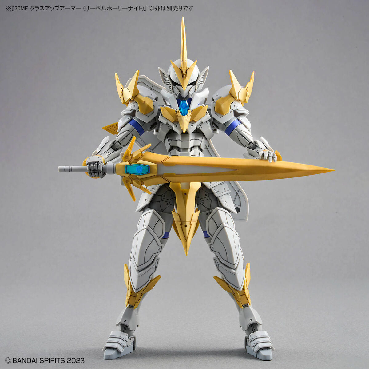 30MF CLASS UP ARMOR - LIBER HOLY KNIGHT 30MF CLASS UP ARMOR - LIBER HOLY KNIGHT