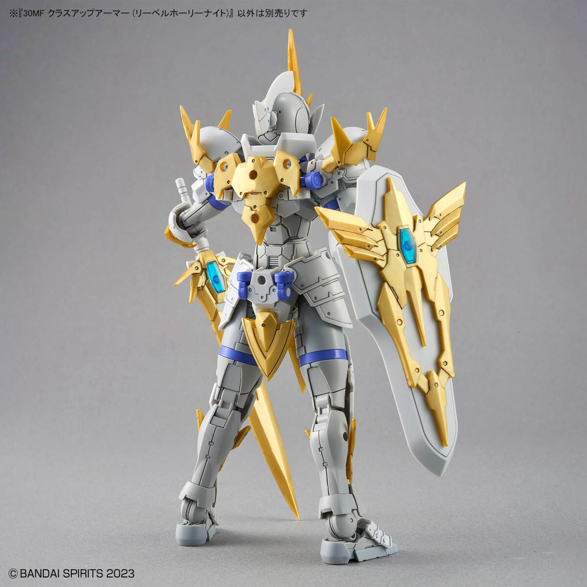 30MF CLASS UP ARMOR - LIBER HOLY KNIGHT 30MF CLASS UP ARMOR - LIBER HOLY KNIGHT