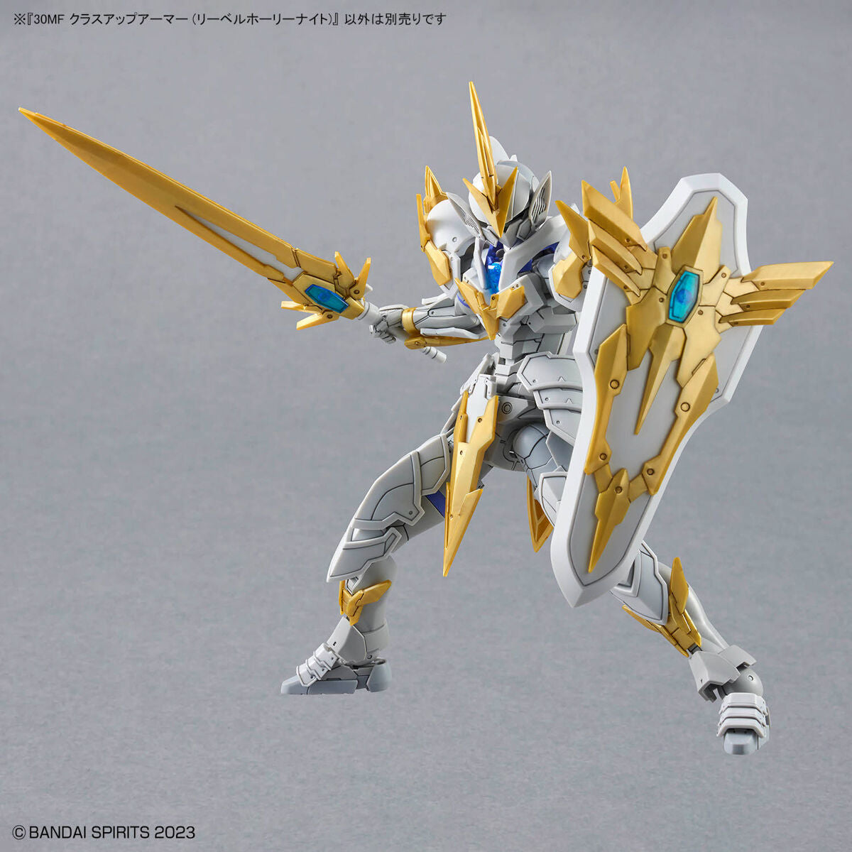30MF CLASS UP ARMOR - LIBER HOLY KNIGHT 30MF CLASS UP ARMOR - LIBER HOLY KNIGHT