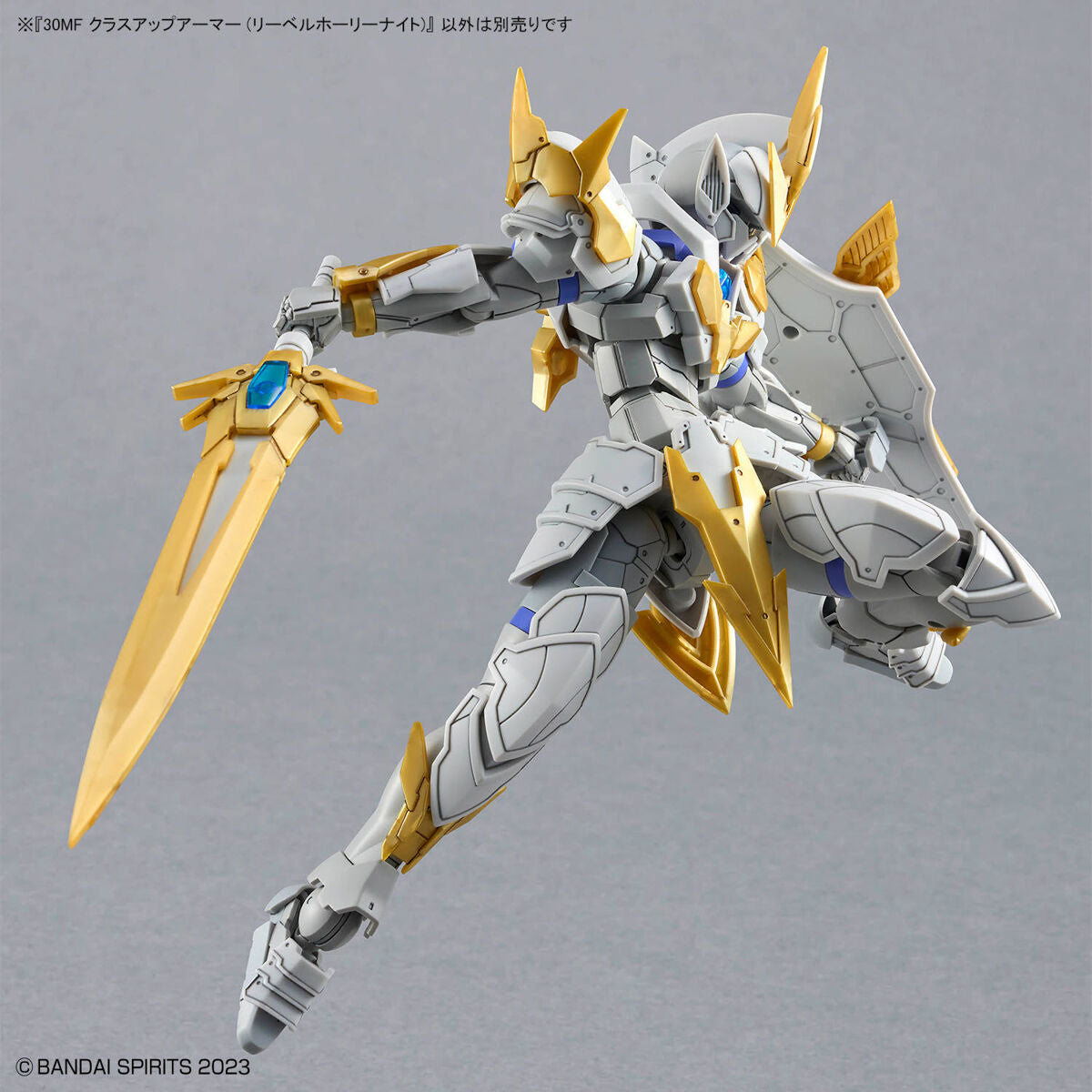 30MF CLASS UP ARMOR - LIBER HOLY KNIGHT 30MF CLASS UP ARMOR - LIBER HOLY KNIGHT