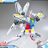 HG NEPTEIGHT WEAPONS