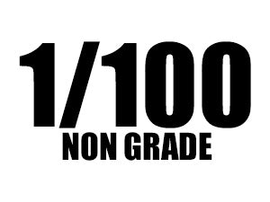 NON GRADE 1/100 SCALE