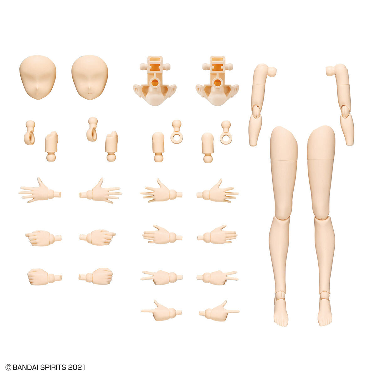 30MS OPTION BODY PARTS ARM PARTS & LEG PARTS (COLOR A)