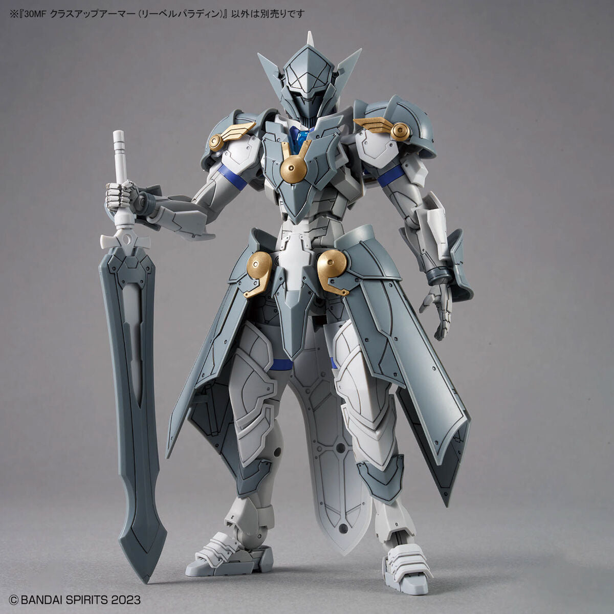 30MF CLASS UP ARMOR - LIBER PALADIN