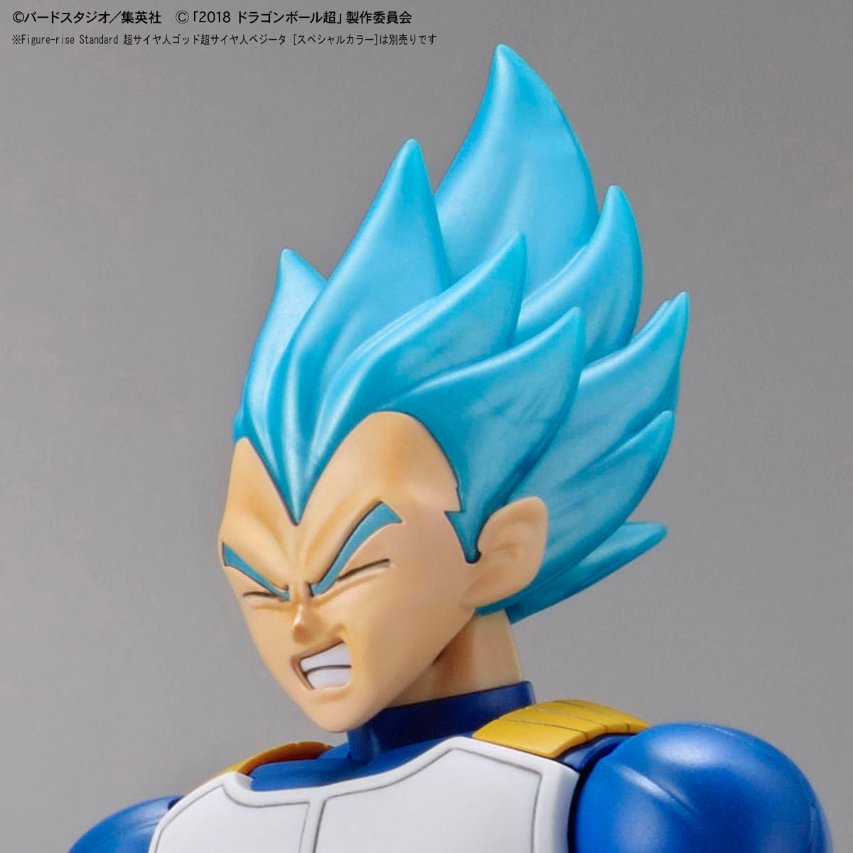 Figure-rise Standard LEGENDARY SUPER SAIYAN BROLY FULL POWER