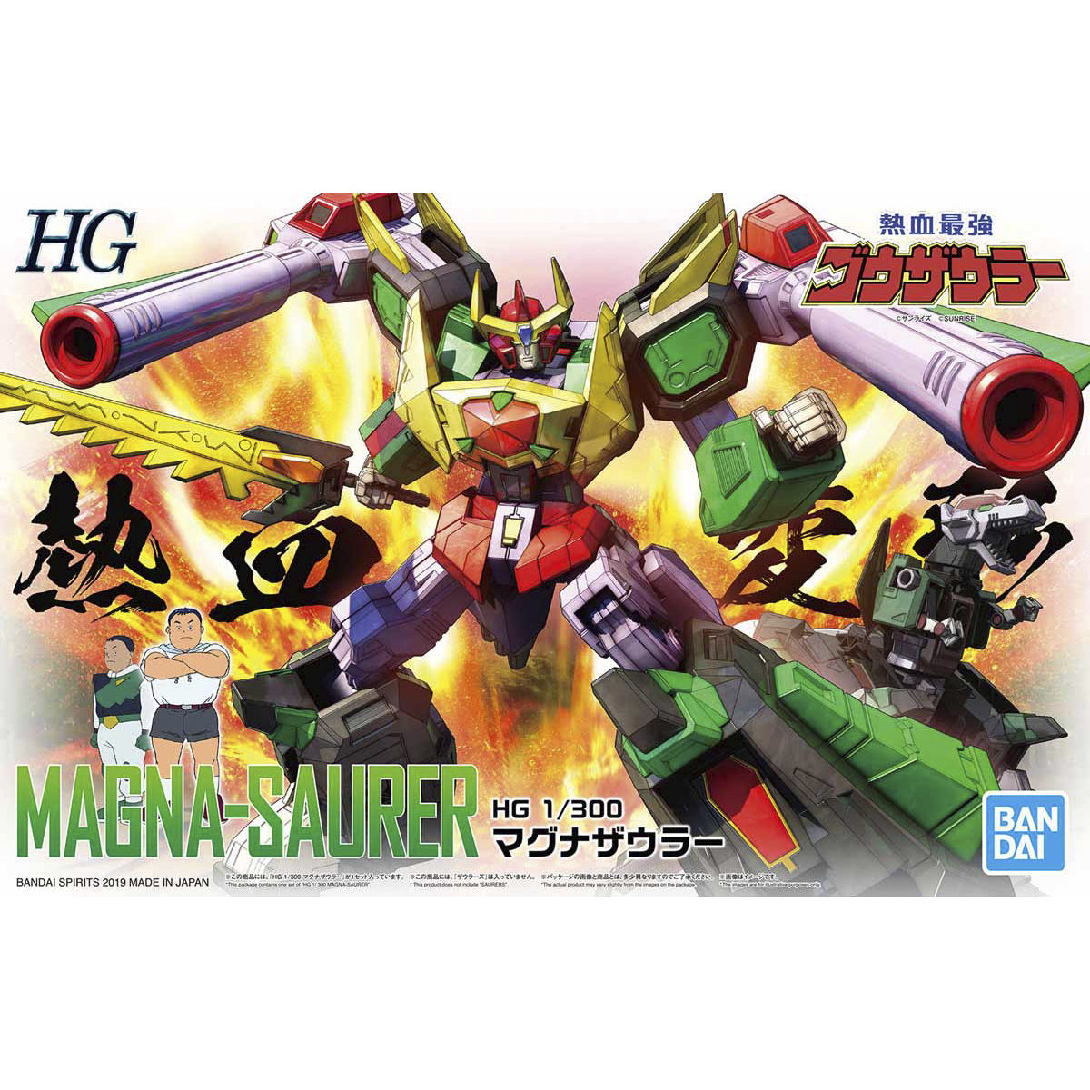 HG MAGNA-SAURER