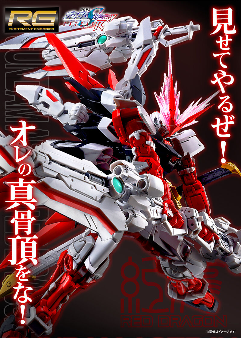 Premium Bandai Gunpla Real Grade 1/144 RG Gundam Astray Red Dragon Action Figure Model Toy Kit VCA Singapore HG 1/12 scale model kit of the Red Dragon Gundam from Gundam SEED, featuring a detailed white and red mecha design with Japanese promotional text overlays.