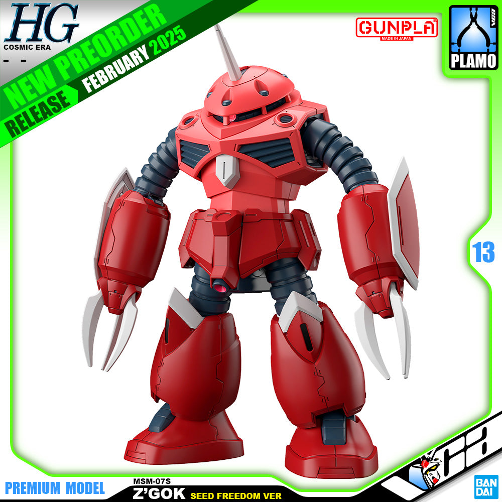 Bandai Namco Gunpla High Grade Cosmic Era HGCE HG Z'Gok Seed Freedom Ver VCA Gundam Singapore