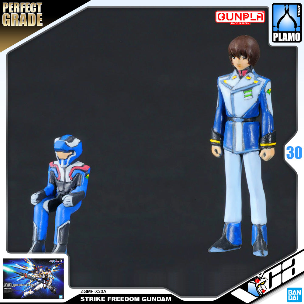 Bandai Gunpla Perfect Grade 1/60 PG ZGMF-X20A Strike Freedom Gundam Big Plastic Model Toy VCA Singapore