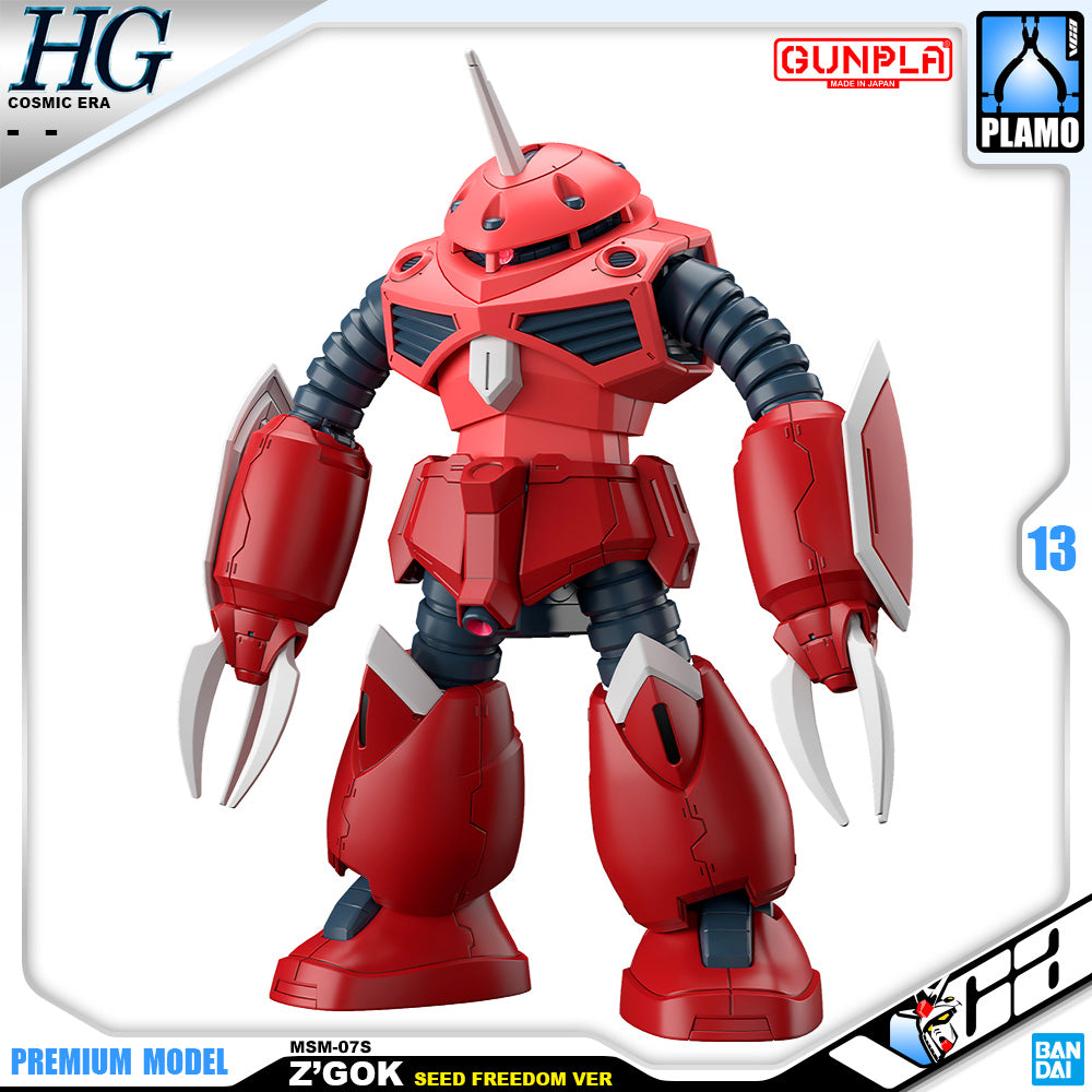 Bandai Namco Gunpla High Grade Cosmic Era HGCE HG Z'Gok Seed Freedom Ver VCA Gundam Singapore