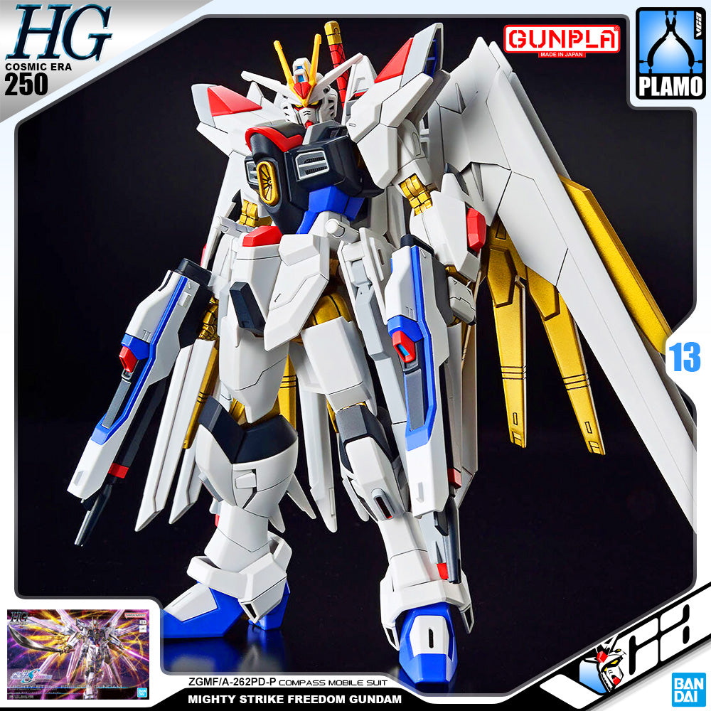 Freedom Gundam Hg