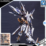 Infinite Dimension 无限新星 InEra+ x Aurora 曙光 Plastic Model Toy VCA Gundam Singapore