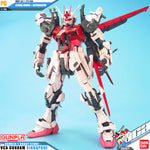 PG STRIKE ROUGE + 天空掠夺者