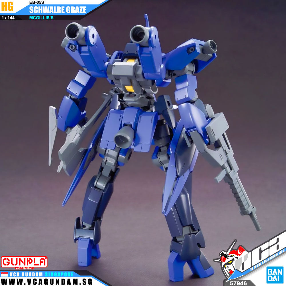 HG MCGILLIS'S SCHWALBE GRAZE