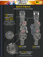 Vientiane Fusion 万象聚变 Meteor 流星 Metal Build Structure Action Figure Mechapla Model Kit VCA Gundam Singapore