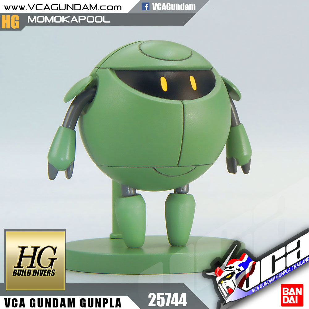 HG MOMOKAPOOL