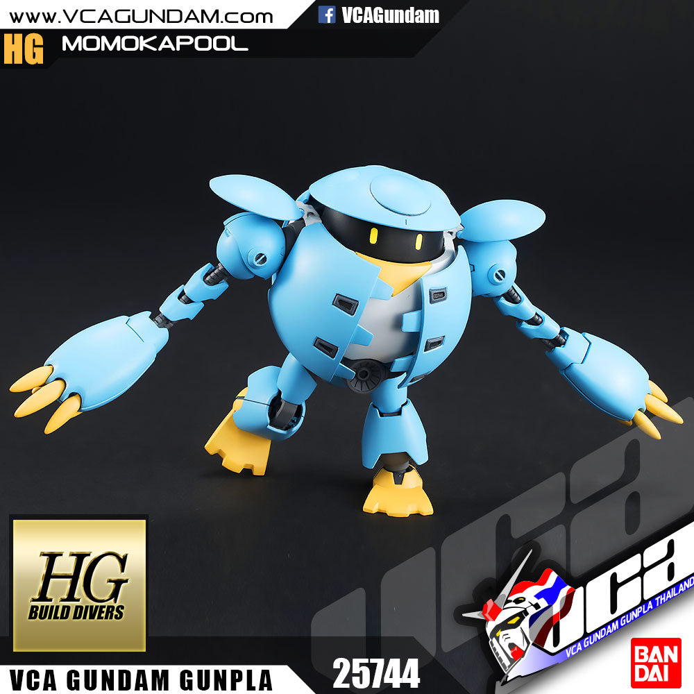 HG MOMOKAPOOL