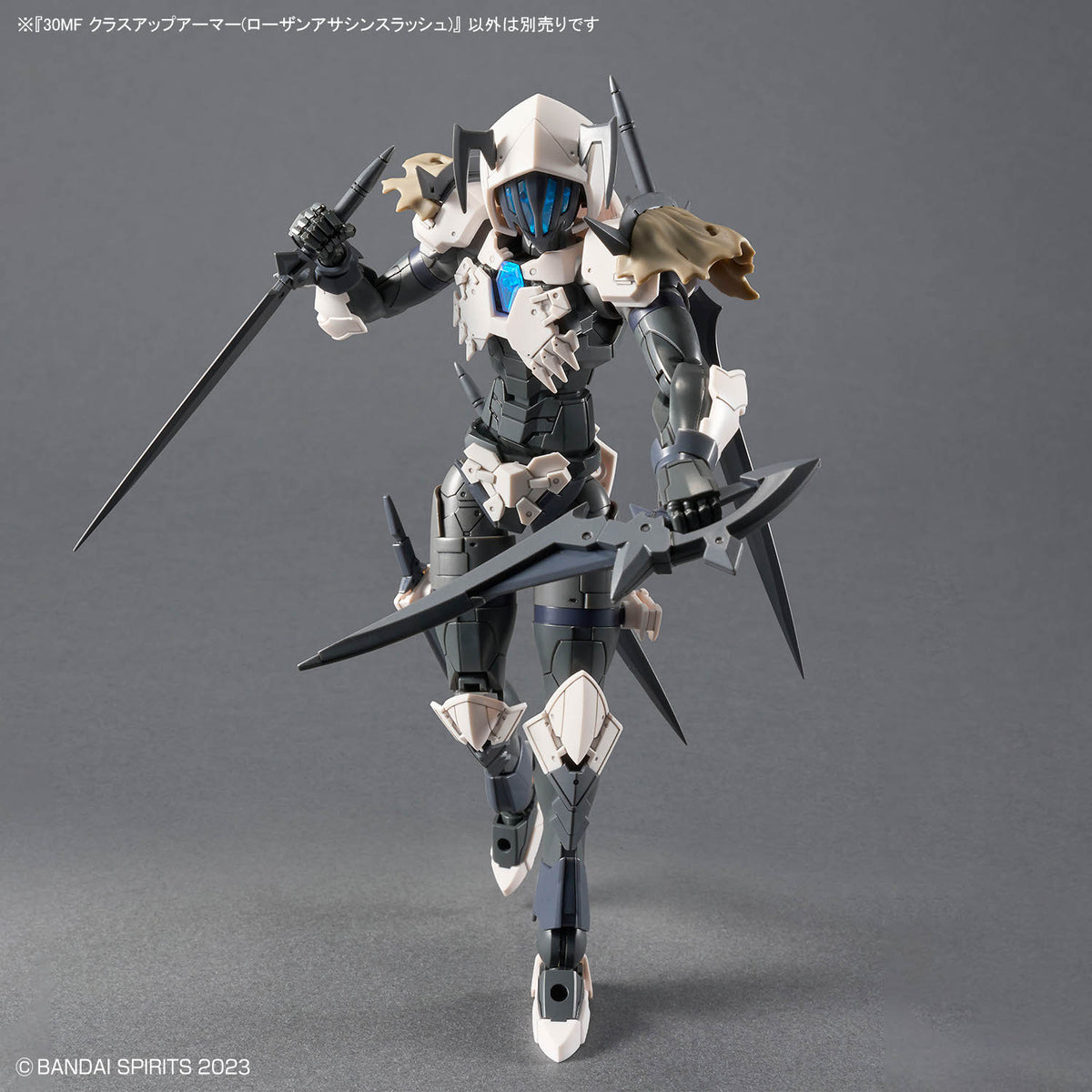 30MF CLASS UP ARMOR - ROSAN ASSASSIN SLASH