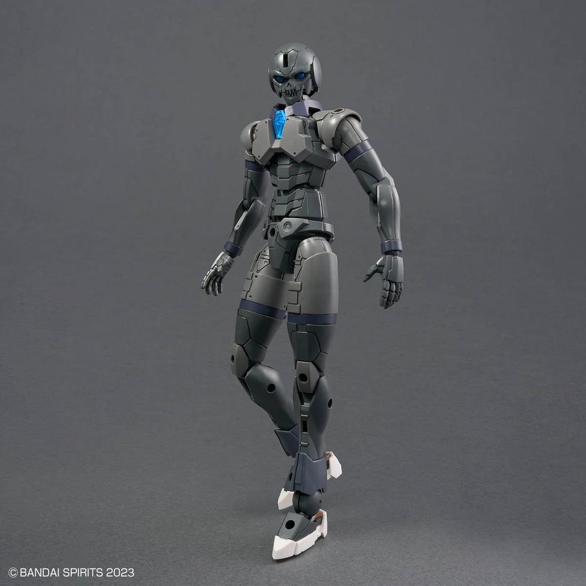 30MF ROSAN ASSASSIN