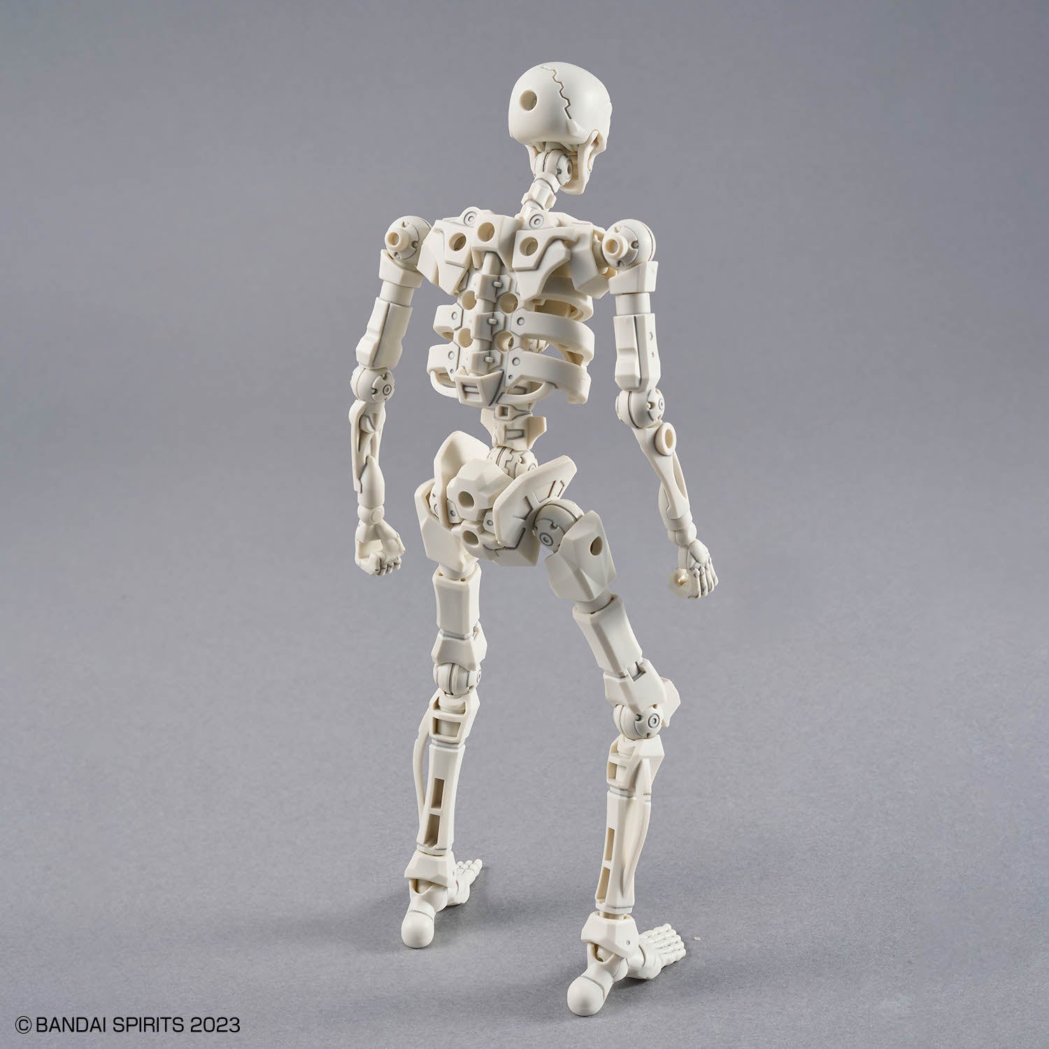 【🟢𝐏𝐑𝐄𝐎𝐑𝐃𝐄𝐑 APR-2026】 30MF DLRO SKELETON