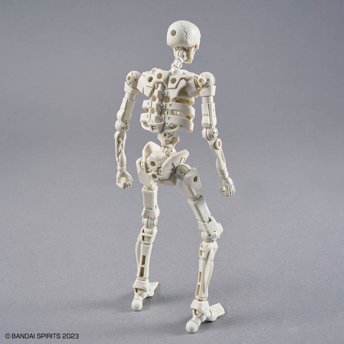 【🔵𝐁𝐀𝐂𝐊𝐎𝐑𝐃𝐄𝐑 DEC-2026】 30MF DLRO SKELETON
