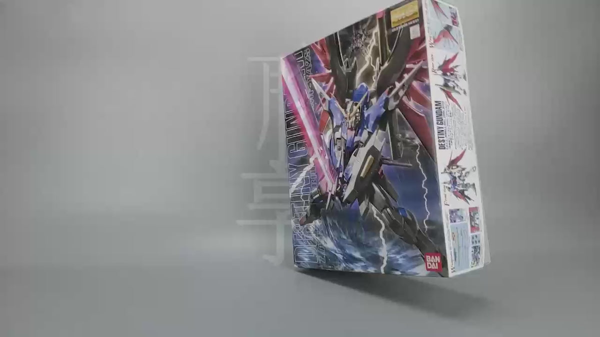MG DESTINY GUNDAM