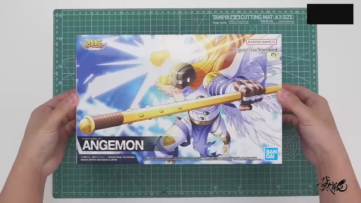 FRS ANGEMON