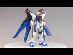 HG-CE STRIKE FREEDOM GUNDAM