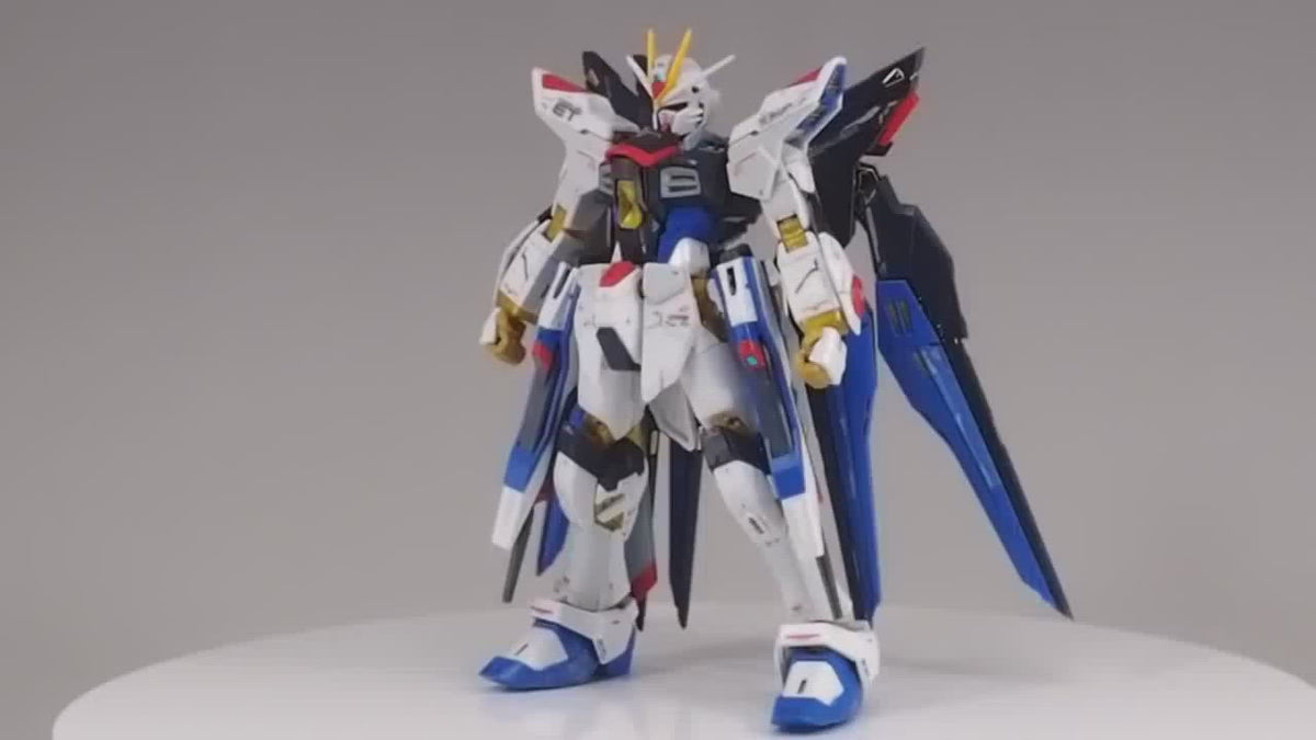 Bandai Real Grade RG ZGMF-X20A Strike Freedom Gundam