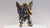 Bandai® Gunpla Real Grade RG 1/144 MBF-P02-RE2 GUNDAM ASTRAY GOLD FRAME AMATSU MINA VCA Singapore