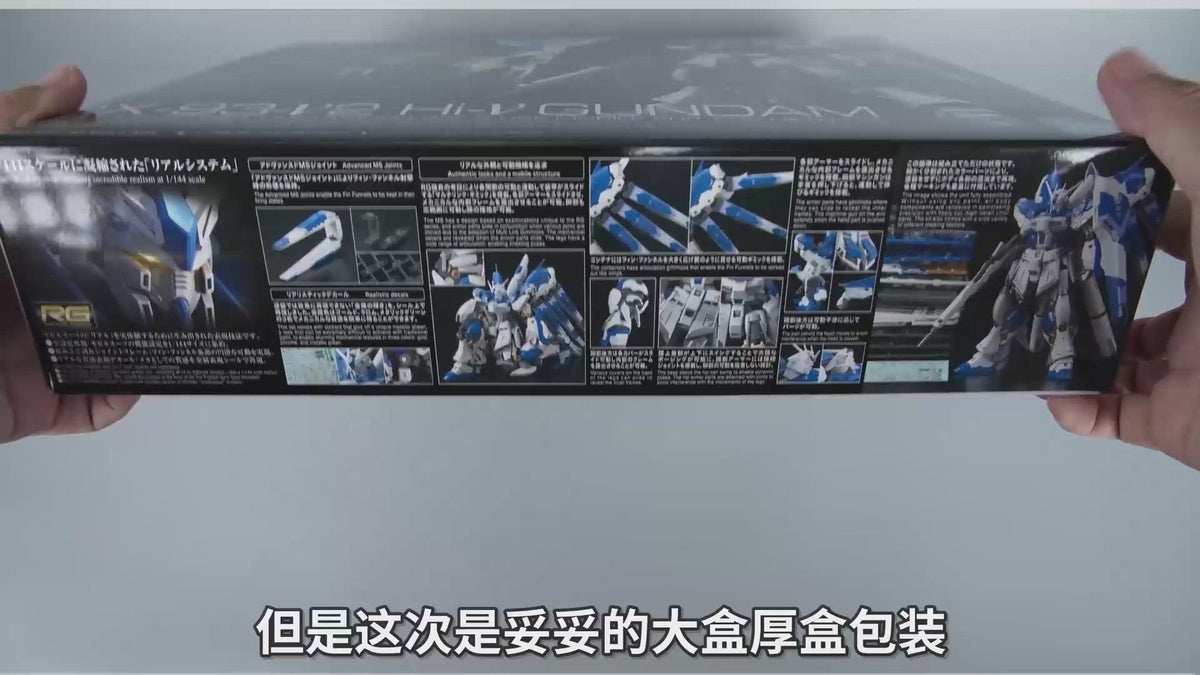 Bandai Gunpla Real Grade 1/144 RG RX-93-V2 Hi-Nu Gundam Plastic Model Action Toy VCA Singapore