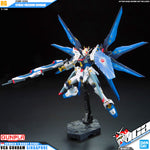 Bandai Real Grade RG ZGMF-X20A Strike Freedom Gundam
