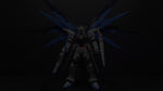 Bandai Real Grade RG ZGMF-X10A FREEDOM GUNDAM