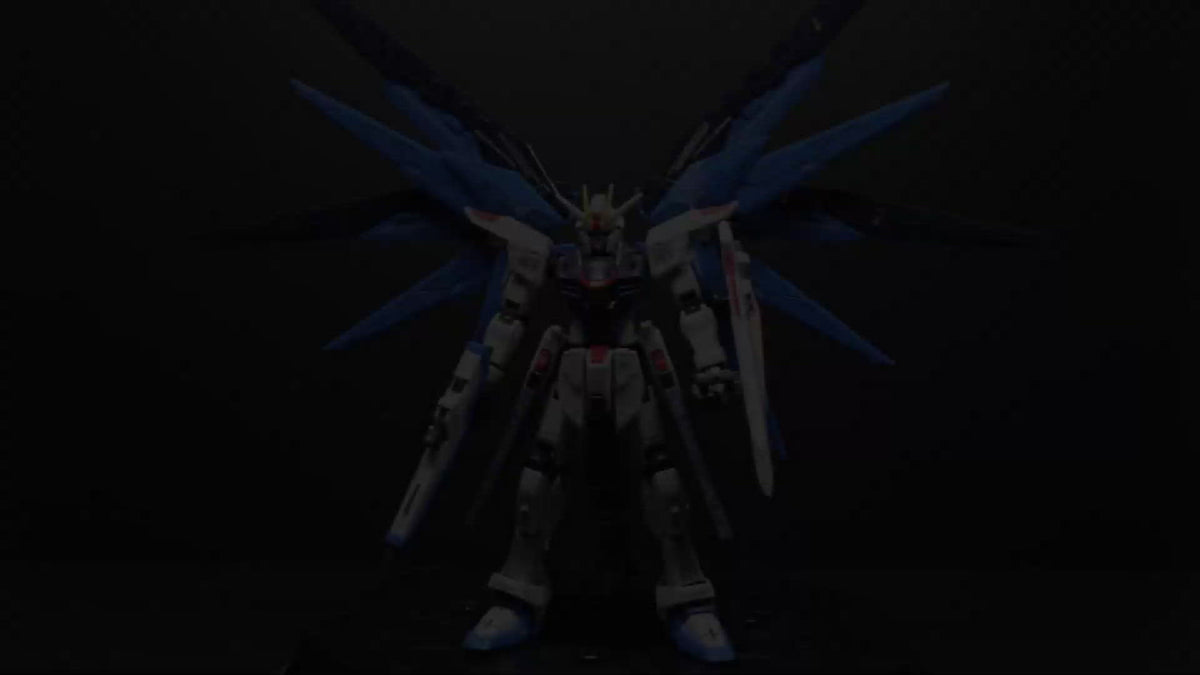 Bandai Real Grade RG ZGMF-X10A FREEDOM GUNDAM