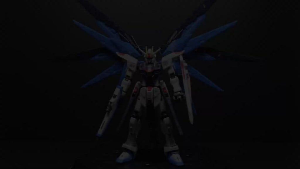 Bandai Real Grade RG ZGMF-X10A FREEDOM GUNDAM