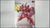 Bandai SD EX Standard SDEX MSN-04 Sazabi